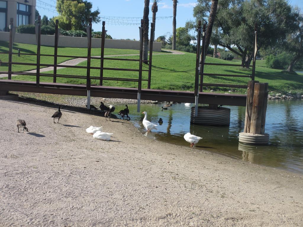 Mccormick Ranch Golf Villa Скотсдейл Екстериор снимка